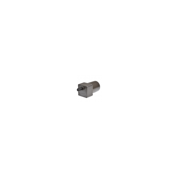 Gear motor YN70 15RPM